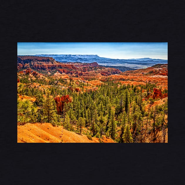 Bryce Canyon National Park by Gestalt Imagery